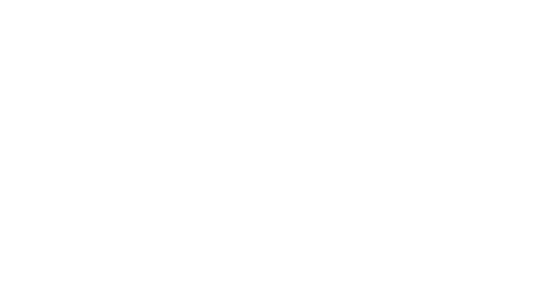 HOLY SECRET